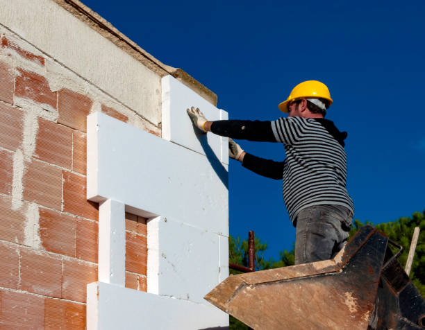 Best Home Insulation Services  in Clinton, OH